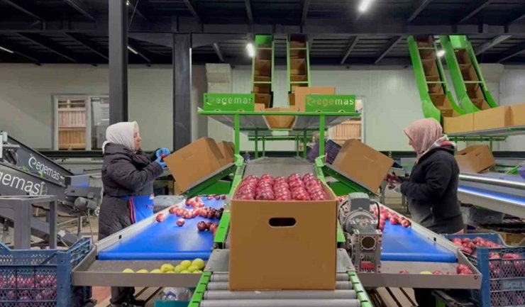 Eğirdir’de elma bahçelerine organik dokunuş, kimyasal yerine hümik asit projesi hayata geçiyor