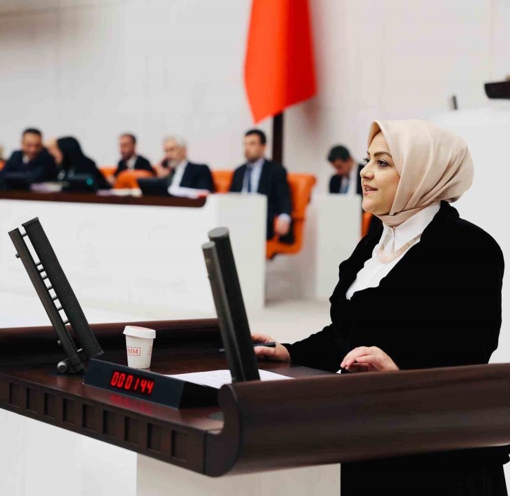 Milletvekili Ün; "İklim Yasasına hayır diyorum"