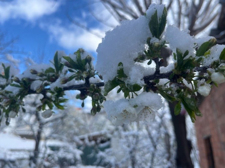 Tavşanlı güne karla uyandı
