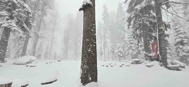 Düzce’nin yüksek kesimlerinde kar kalınlığı 50 santimetreye ulaştı