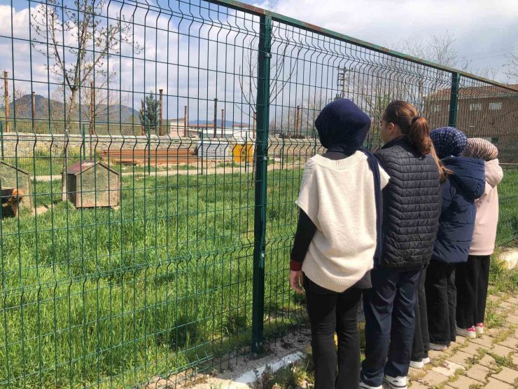 İmam hatip öğrencileri E-twinning projesi kapsamında hayvan barınağını ziyaret etti