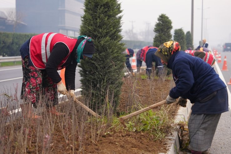 Düzce’de 14 bine yakın bitki dikildi