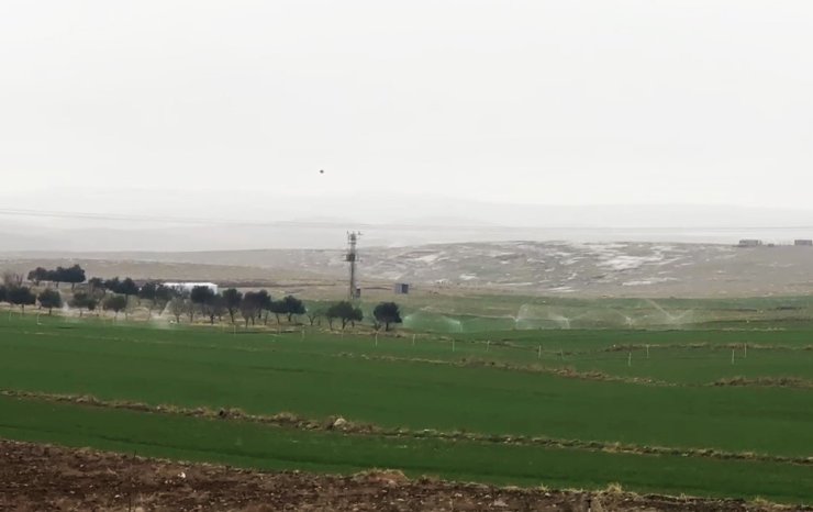 Kaçak elektrikle sulama yağmur yağarken de devam etti