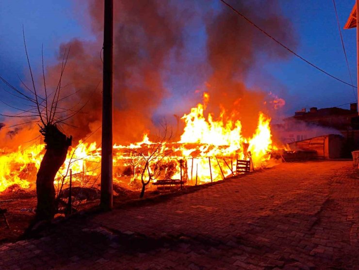 Bursa’da bir köye panik yaşatan yangın