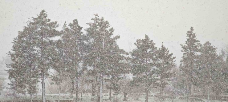 Aşkale nisan ayında kışı yaşıyor