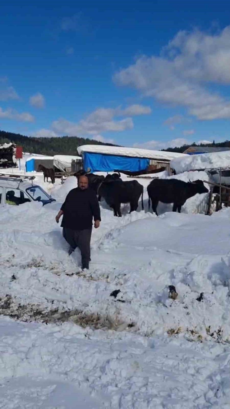 Yaylada hayvanlarıyla mahsur kalan vatandaş kurtarıldı