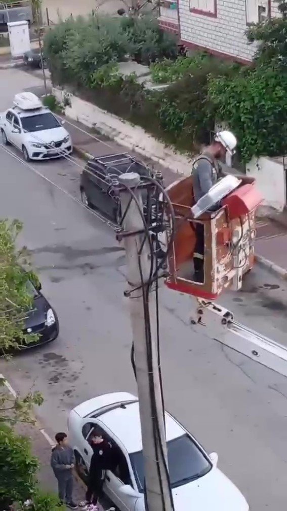Elektrik tellerine takılan kumru için kurtarma operasyonu