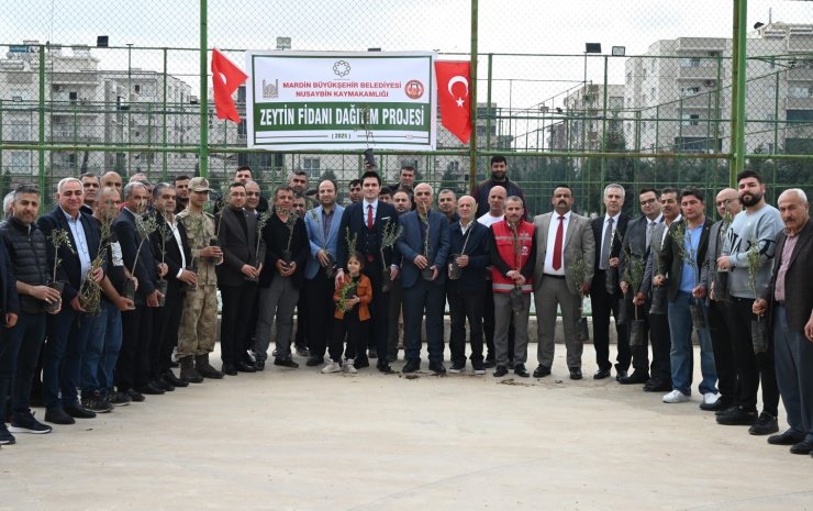 Nusaybinli çiftçilere 8 bin adet zeytin fidanı dağıtıldı