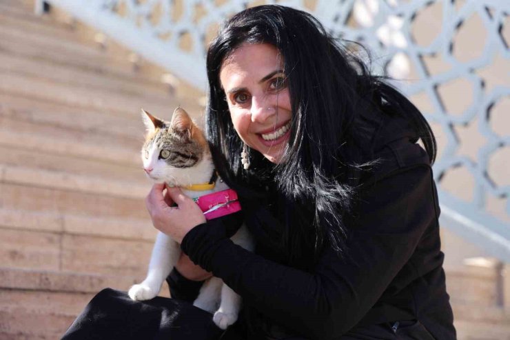 Böyle bağ görülmedi: Etkinlikte tanıştığı kediyi almak için 2 bin 500 kilometre yol kat etti