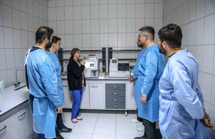 Üniversite öğrencileri hayvan bakım evinde uygulamalı eğitim alıyor