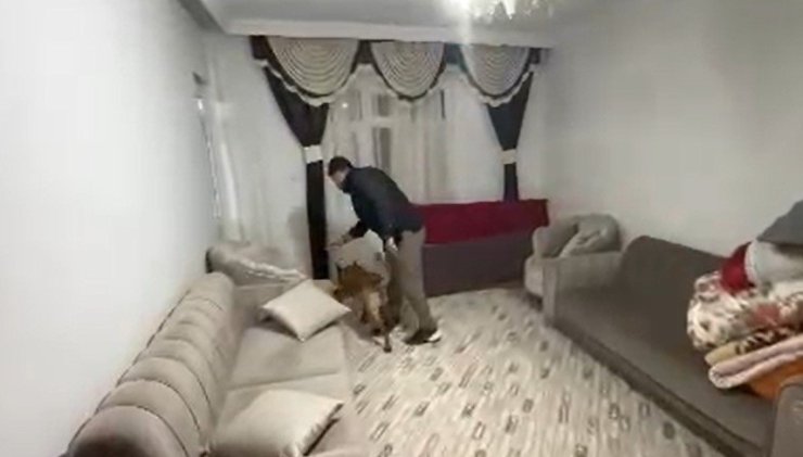 Gaziantep’te uyuşturucu operasyonu: 2 tutuklama