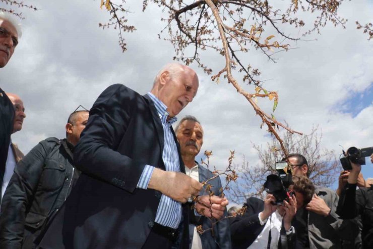 TZOB Genel Başkanı Bayraktar: "Kayısıda yüzde yüzlere varan zarar tespit ettik"