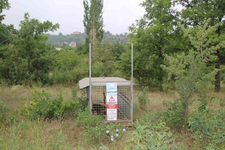 Başkan Özdoğan: "Vatandaşımızın güvenliği her şeyden önce gelir"