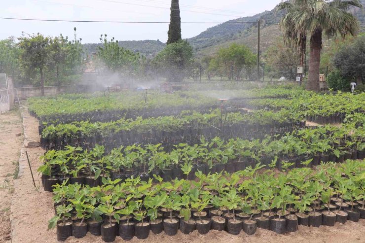Nazilli Belediyesi’nden doğaya nefes: 18 bin fidan toprakla buluşacak