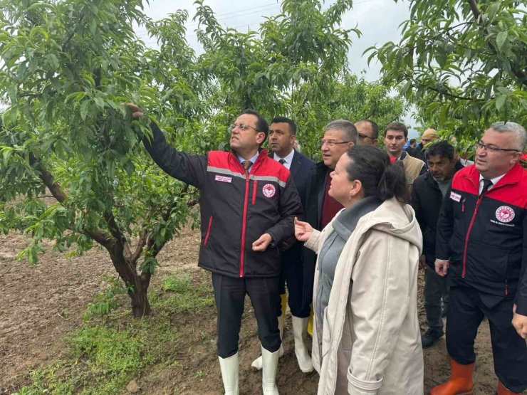Tarım ve Orman Bakan Yardımcısı Gizligider, Denizli’de zirai dondan etkilenen tarımsal alanları inceledi