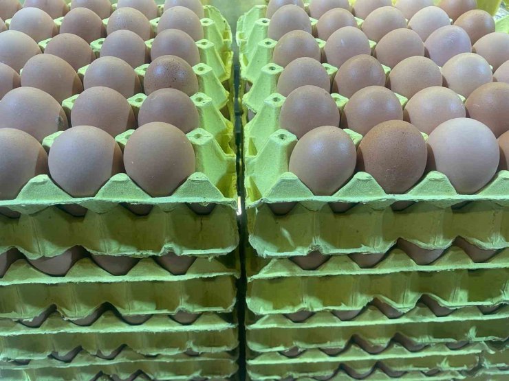 Yumurta fiyatları "mayıs çukuru" yaklaşınca düşüşe geçti