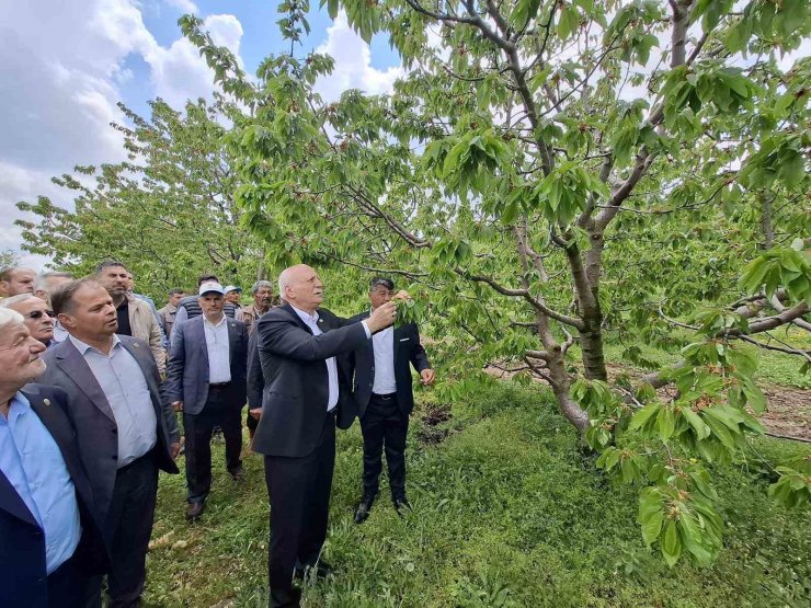 TZOB Başkanı Bayraktar, Akşehir’de zirai dondan etkilenen bahçeleri inceledi