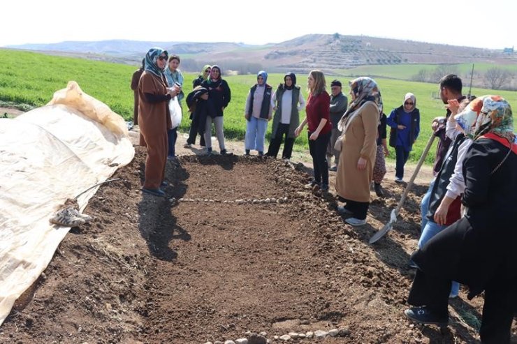 Kadın çiftçilerle sebze fidesi yetiştirme kursu düzenlendi