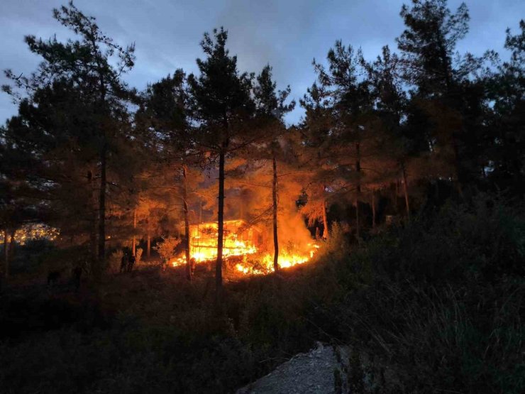 Barakadan yükselen alevler ormana sıçramadan