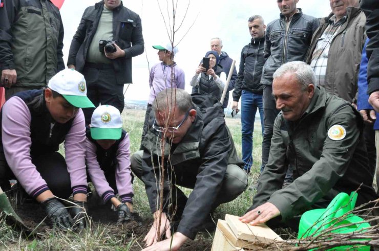 Kars’ta meyve ağaçları toprakla buluştu