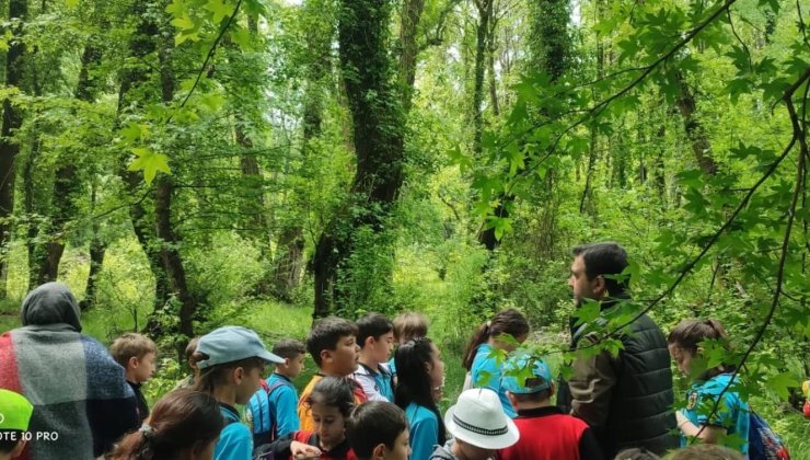 Köyceğiz’de öğrenciler Sığla ormanlarında inceleme yaptı