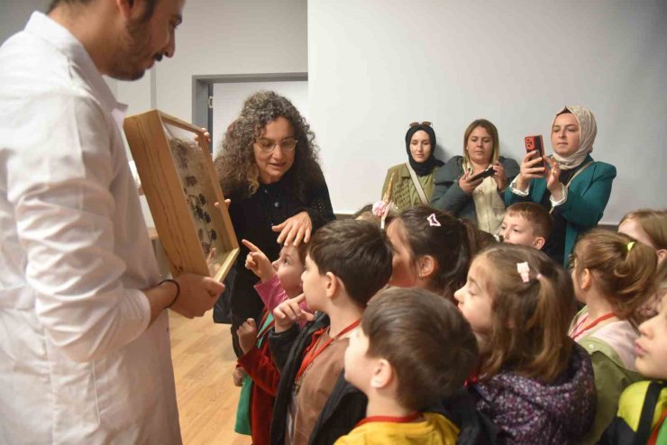 Minik öğrenciler böcekleri dikkatle inceledi