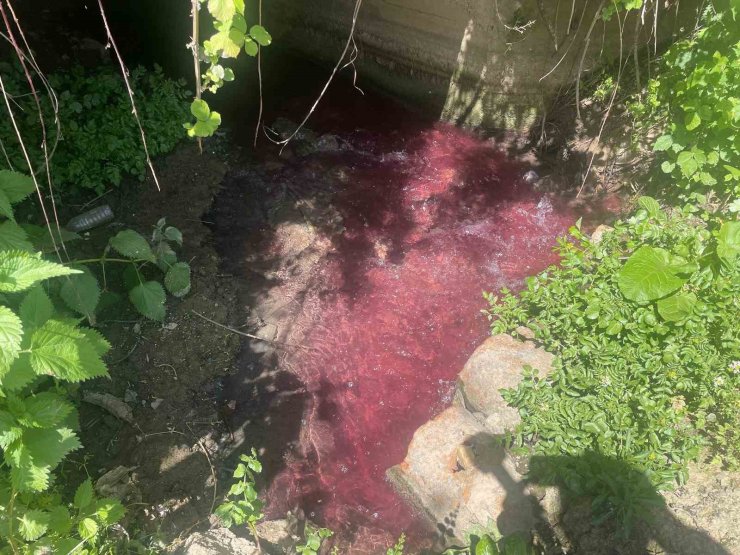 Turşu sulu renkli dereye çiftçiler de uzmanlar da tepkili