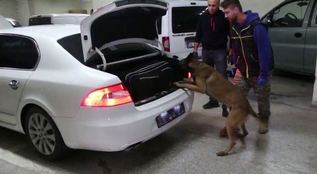 Bolu’da kaçakçılık operasyonunda 4 gözaltı