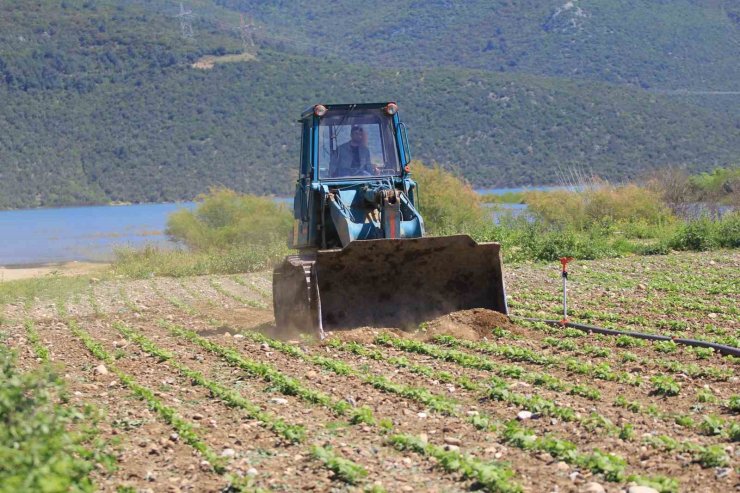 Devlet çiftçiye "ekin" diyor, DSİ ekili alanları düzlüyor