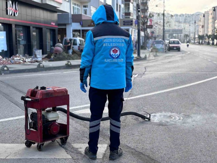 Trabzon’da sıcaklar başlamadan vektörle mücadele başladı