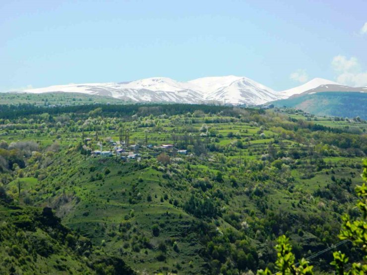 Posof’ta baharla gelen güzellikler