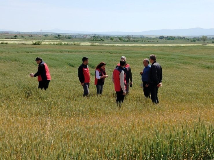 Çanakkale’de üreticilerin ekili dikili alanlarında saha incelemesi yapıldı