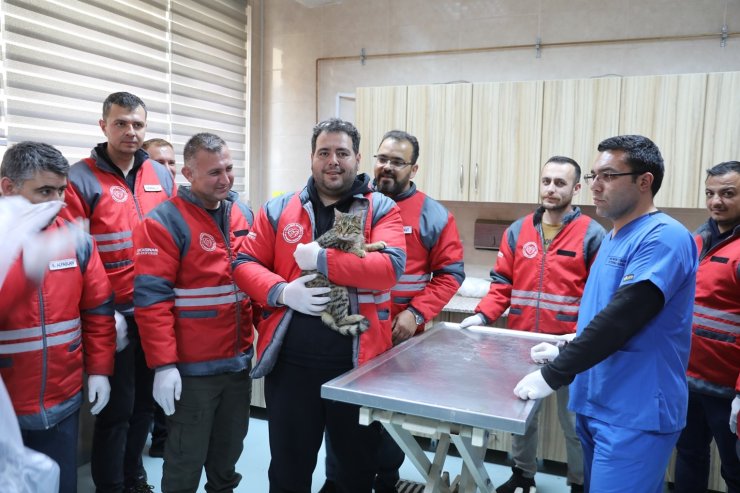 Kocasinan Belediyesi’nden veterinerlik personeline sertifikalı eğitim