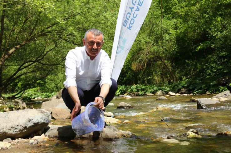 Kirazdere’ye 8 bin alabalık bırakıldı