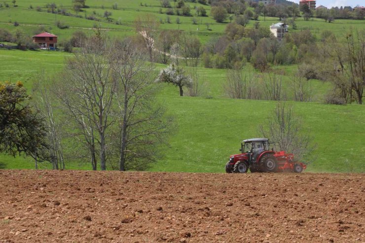 Ordu’nun atıl arazileri bereketleniyor: 34 bin 800 dekar atıl arazi tarıma kazandırıldı