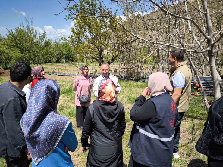Zirai dona karşı sigorta yaptıran çiftçilerin zararları inceleniyor