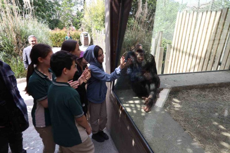 Çocuklar hayvanat bahçesini gezdi
