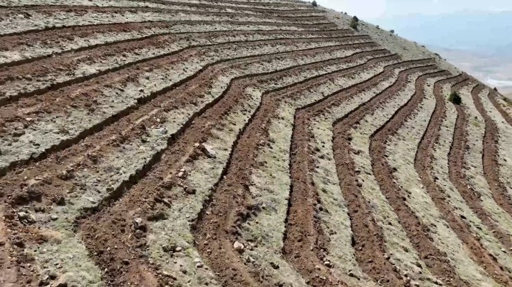 Niğde’nin Himmetli Köyü’nde 100 hektarlık alanda ağaçlandırma yapılacak