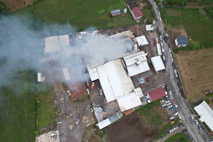 Sakarya’da fındık kırım fabrikasındaki yangın havadan görüntülendi