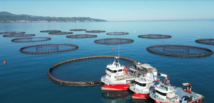 Doğu Karadeniz’de somon hasadı başladı