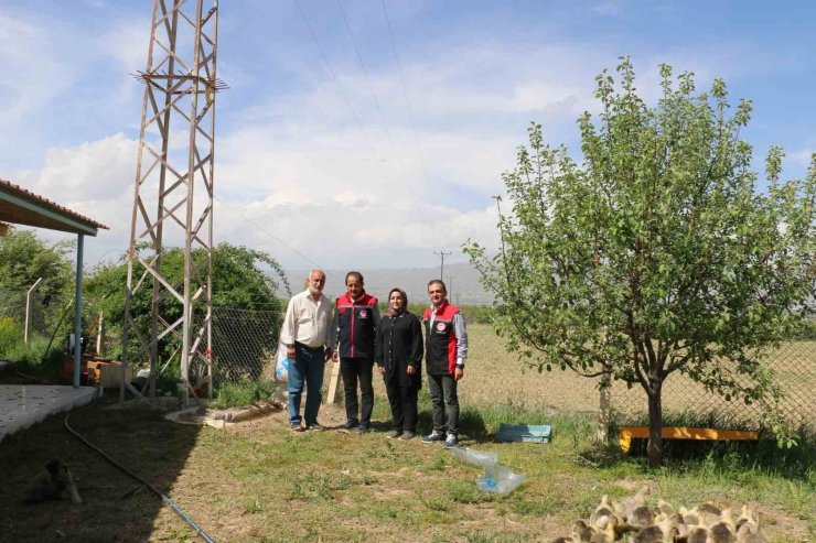 40 binin üzerinde ağaç diken Erzincanlı profesör, kazlarla biyolojik mücadele uyguluyor
