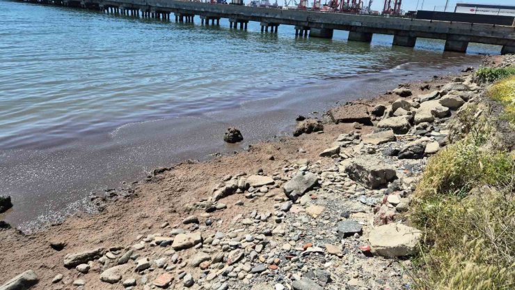 Marmara Denizi’nin Tekirdağ kıyılarında kızıl yosun birikintisi oluştu