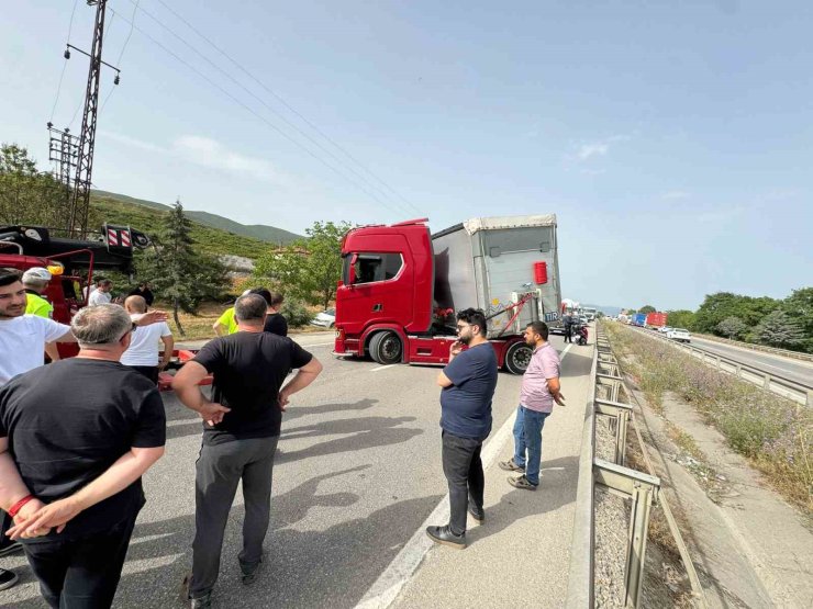 Bir arının yaptığına bak...Yüzlerce kişiyi mağdur etti