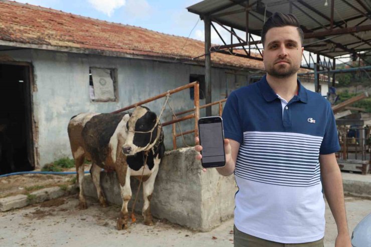 Sosyal medyada gördüğü kurbanlık danaları almak isterken 200 bin TL dolandırıldı