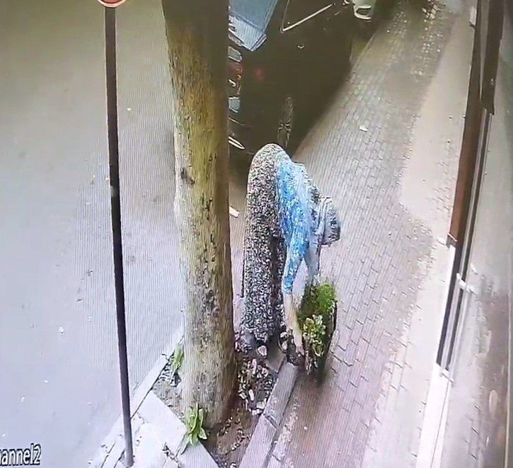 Bir kasa çiçeği böyle götürdü