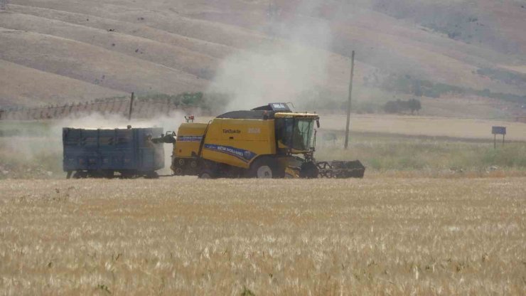 Adıyaman’da hububat hasadı arpa ile başladı
