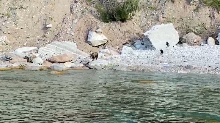 Bartın’da ilginç anlar