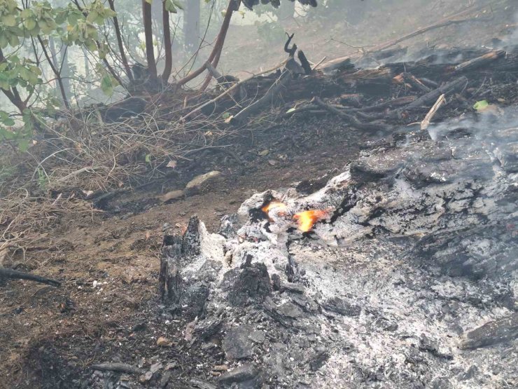Orman yangını sürüyor: Ekipler 5 helikopter ve 110 personelle müdahale ediyor