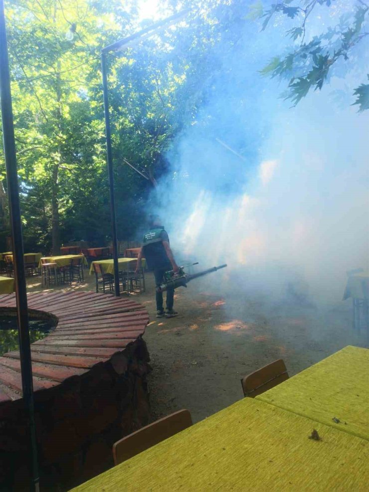 Karacasu’da sinek ve larva ilaçlaması yapıldı