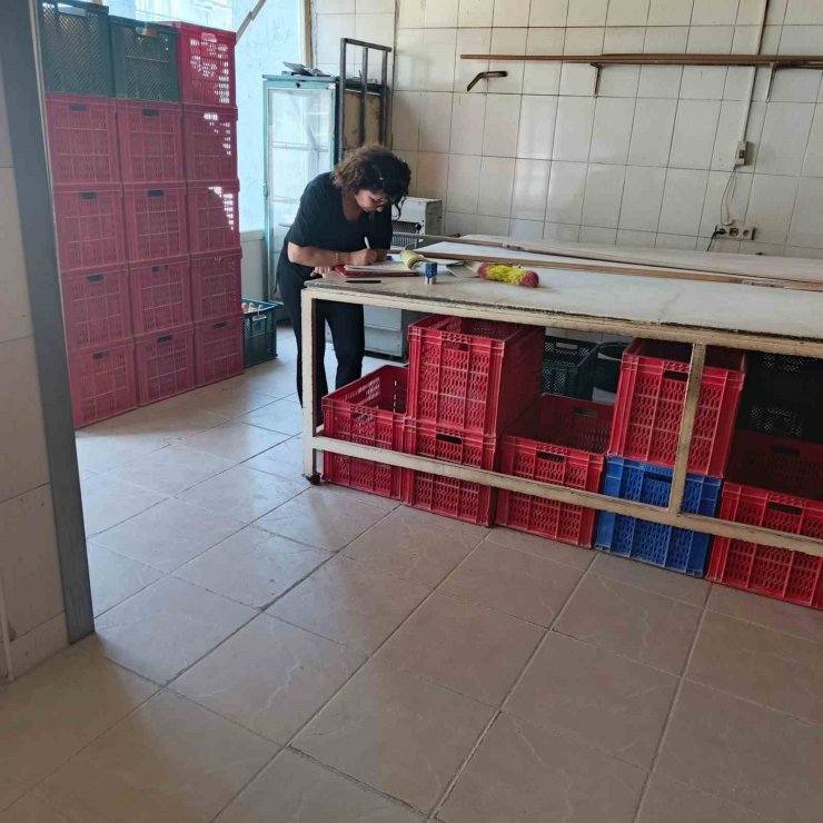 Söke’de riske dayalı gıda işletmeleri denetlendi